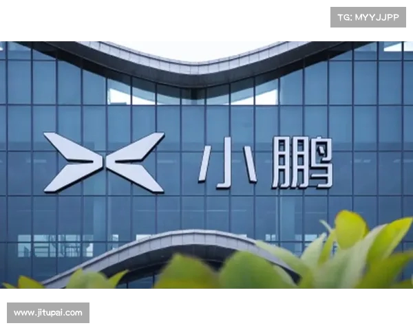 继高层动荡后,小鹏副总裁再度离职,企业战略或将受到影响(小鹏老总是谁) 继高层动荡后,小鹏副总裁再度离职,企业战略或将受到影响(小鹏老总是谁)